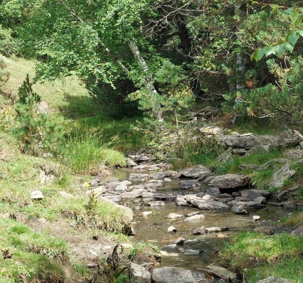 Boucle d'Estany de Font Viva et ses cascades - Porté-Puymorens - 1