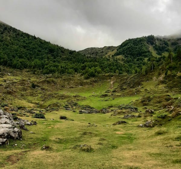 Boucle de l'étang de Lers : sentier découverte faune flore - Sentenac - 1