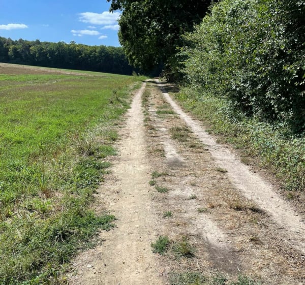 Rando entre Breuillet village et Saint Sulpice de Favières - Breuillet - 1