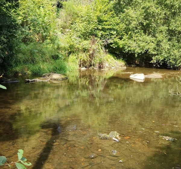 Balade le long du canal de la papeterie à Lestonan - Ergué-Gabéric - 1