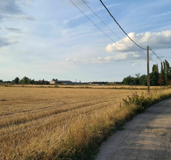 Le nœud de papillon des Weppes - Wavrin - 1