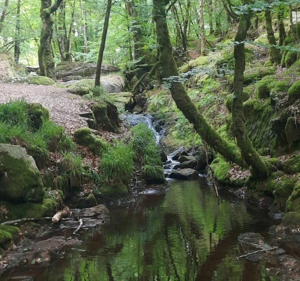 Cascade de la Tine - Pradines - 1