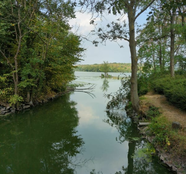 Autour de l'étang Chabaud Latour - Condé-sur-l'Escaut - 1