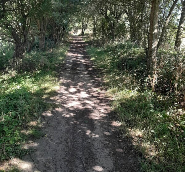 Balade Erquinghem le Sec/Beaucamps Ligny - Erquinghem-le-Sec - 1