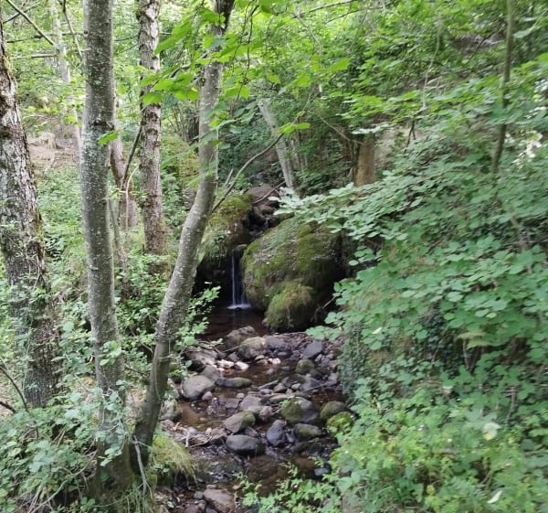 Cascade de la Roucolle - Thiézac - 1
