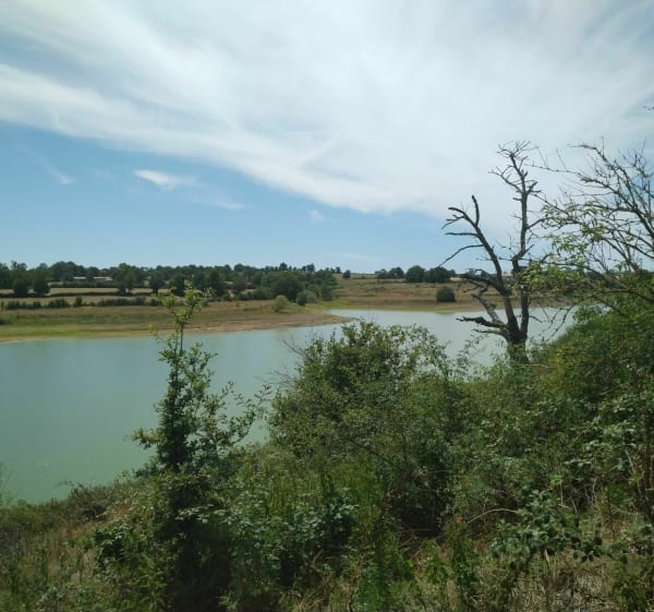 Ronde van het meer van Ribou en Verton - Cholet - 1