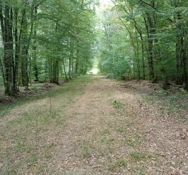 Balade par la bergerie - Roches-sur-Marne - 1