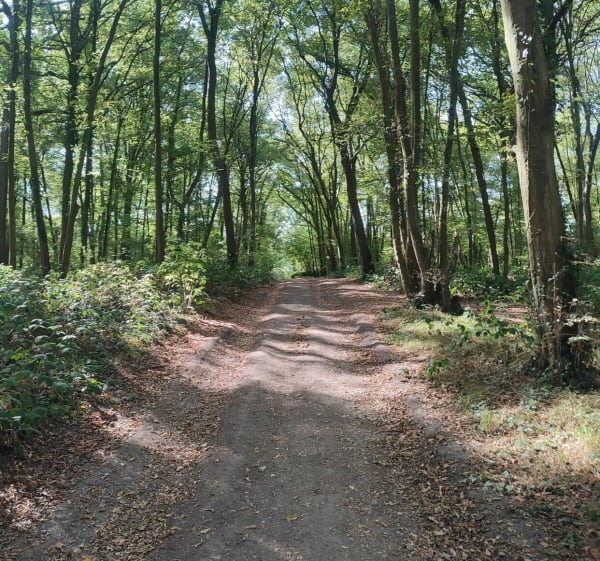 Ballade à Boves, par le bois Fautimont et Paraclet - Boves - 1
