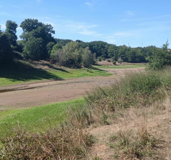 Sortie à Planèzes - Luc-la-Primaube - 1