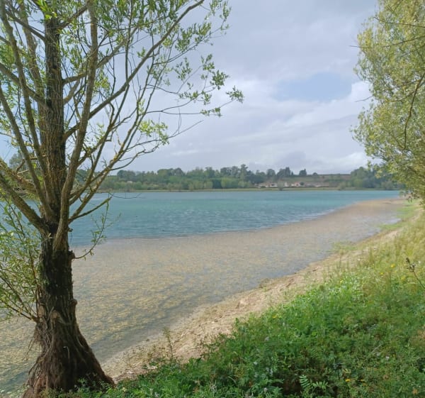 Tour du lac de Cadarsac - Cadarsac - 1