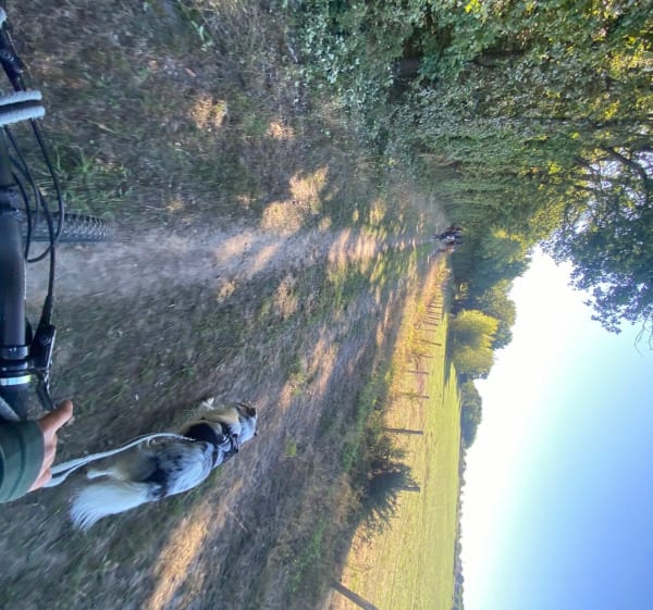 Balade entre vignes et vergers à St Rémy - Brissac-Loire-Aubance - 1