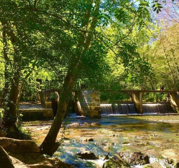 Boucle du Château Olivier, les Moulins par Cestas à VTT - Léognan - 1