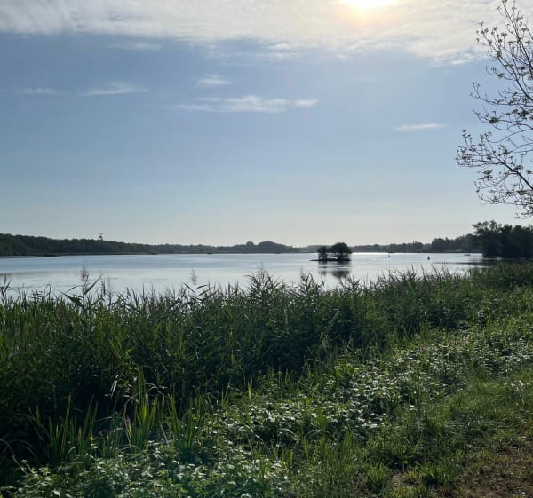 Promenade autour de l’étang de chabaud latour - Condé-sur-l'Escaut - 1