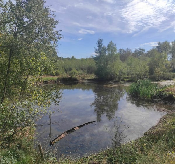 Petite balade au plateau des Landes - Blendecques - 1