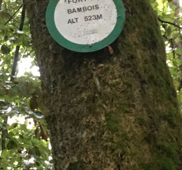 Buzegney tour de bambois - Hadol - 1