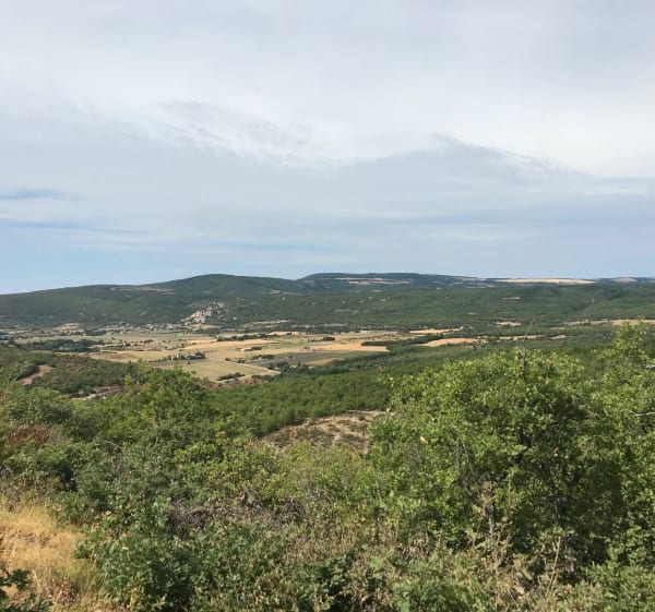 Belle balade sur les hauteurs du parc naturel du Lubéron - Montsalier - 1