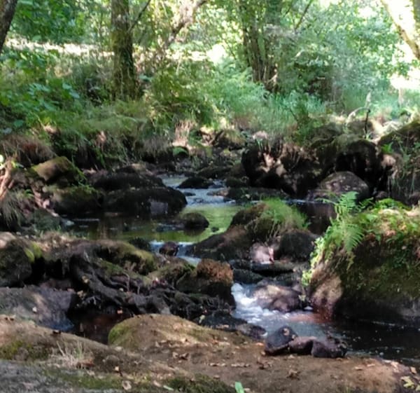 Balade au petit pont de bois - Razès - 1