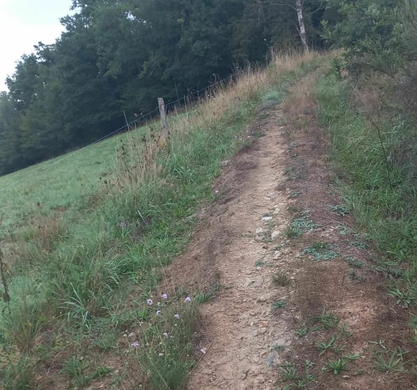 Vtt st denis savigneux, bord de coise et ancienne voie ferré - Chazelles-sur-Lyon - 1