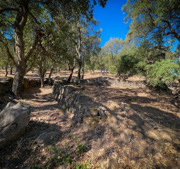 Les cabanes de Mataporcs - Laroque-des-Albères - 1