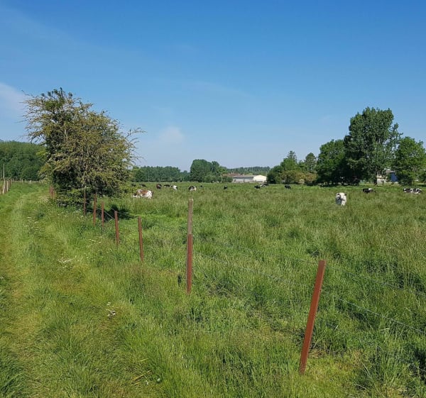 Le sentier des Pierres du Diable - Acq - 1