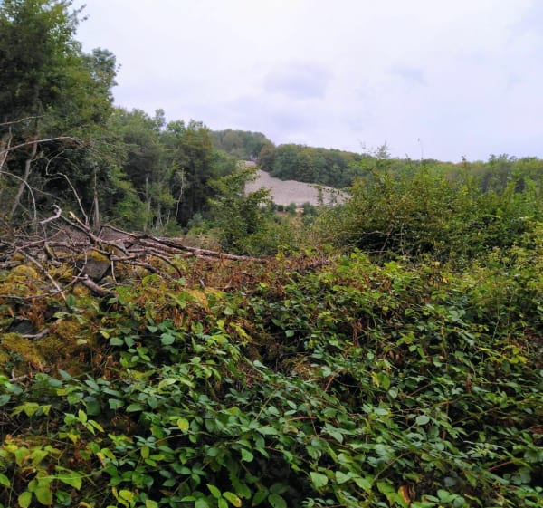 Isserteaux 63, trail autour du Courdeloup - Isserteaux - 1