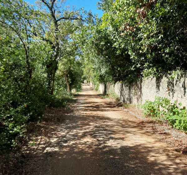Chemin Penautier Villemoustaussou - Villemoustaussou - 1