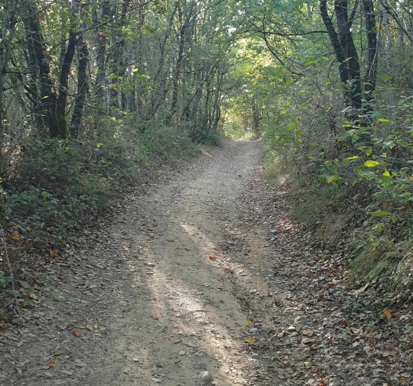 Autour de Bonrepos-sur-Aussonnelle par la voie romaine - Bonrepos-sur-Aussonnelle - 1