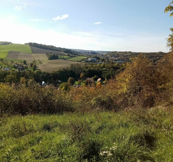 De Luemschwiller à Wittersdorf aller retour - Luemschwiller - 1
