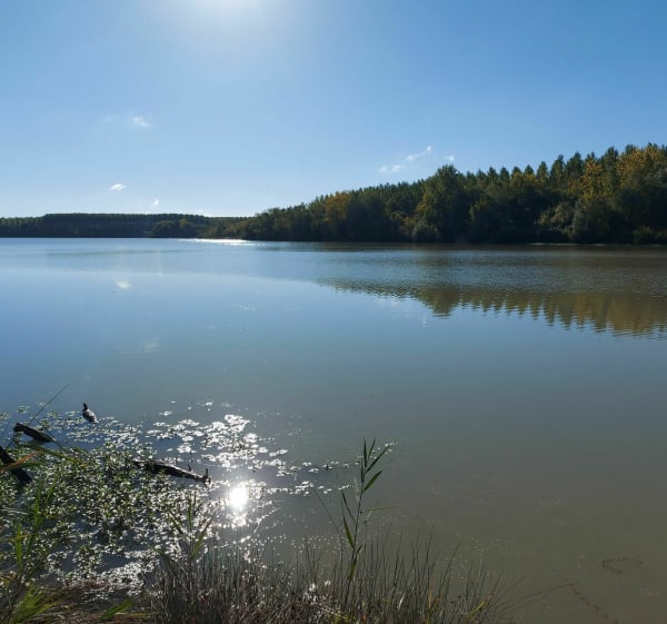 Balade sur les bords de la Garonne - Portets - 1
