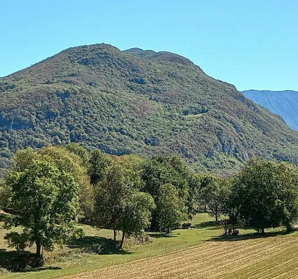 Sentier du Mont Landard - Saint-Pierre-de-Curtille - 1