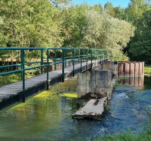 Balade à Saint George sur Arnon - Saint-Georges-sur-Arnon - 1