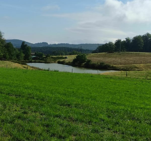 Sur les hauteurs de Vernoux... encore - Châteauneuf-de-Vernoux - 1