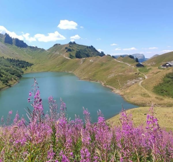 Meer Lessy - Glières-Val-de-Borne - 1