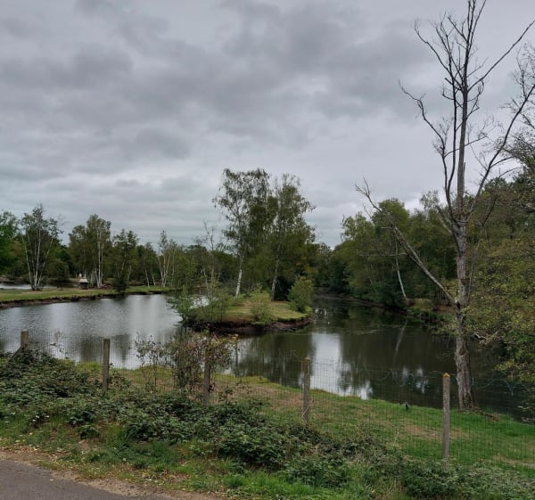 Petite balade VTT - Brette-les-Pins - 1