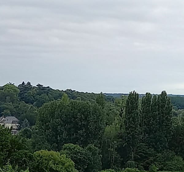 Marche du 1er juillet - Châteaudun - 1