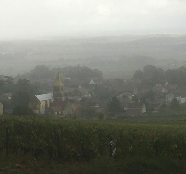 Jolie balade forestière dans la Dijonnais - Fixin - 1