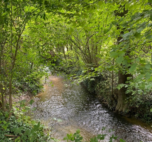 Autour de Conches-sur-Gondoire - Lagny-sur-Marne - 1