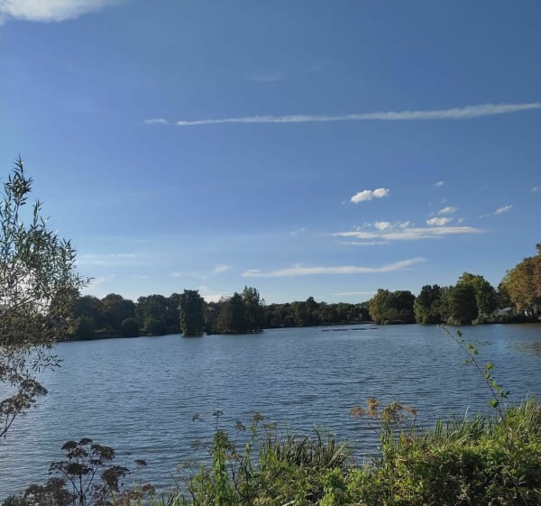 Tour des lacs Saint-Paul-les-Dax - Saint-Paul-lès-Dax - 1