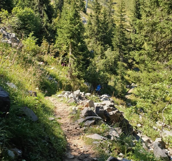 Alpages de Morzinette par les Sutes - Morzine - 1
