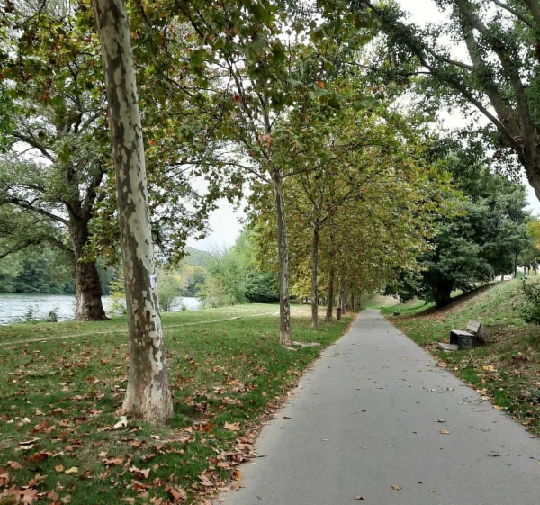 Balade sur les berges de l'Aude - Carcassonne - 1