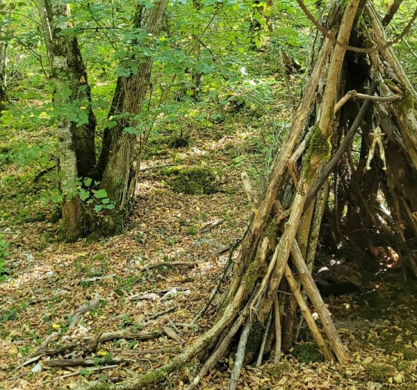 Randonnée principalement en sous bois. - Velars-sur-Ouche - 1