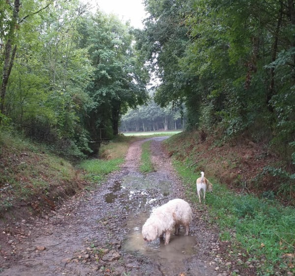 Balade à Vaux-sur-Lunain - Vaux-sur-Lunain - 1