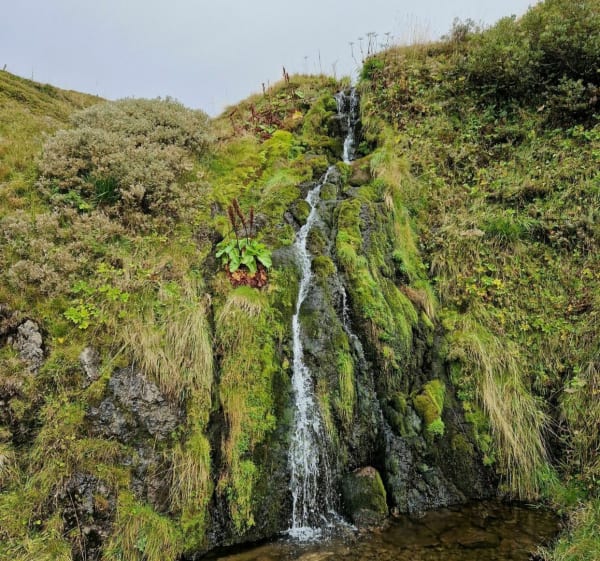 Klim naar de Puy de Sancy aan de Chastreix-zijde - Chastreix - 1