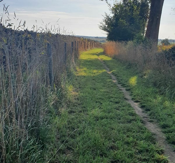 Boucle Parné-Entrammes-Parné - Parné-sur-Roc - 1