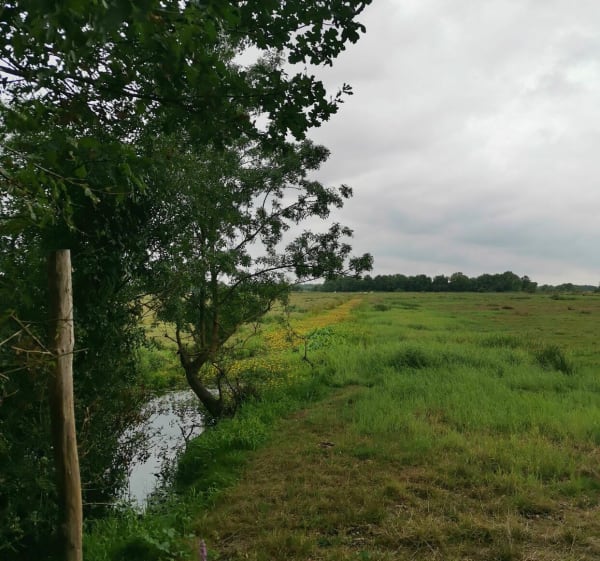 Sentier de l'Etang Bernard - Saint-Étienne-de-Montluc - 1