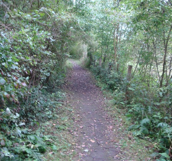 BEUVRY - PREOLAN et BELLENVILLE - Beuvry - 1
