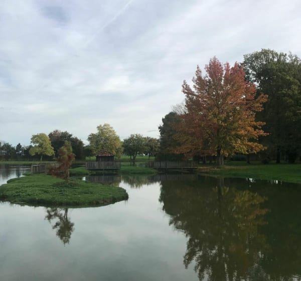 Aubigny sur Nère habillé de rose - Aubigny-sur-Nère - 1