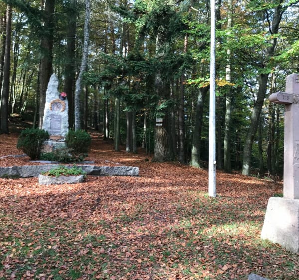 Van Trois-épis tot La Croix de Wihr via paden en paden - Ammerschwihr - 1