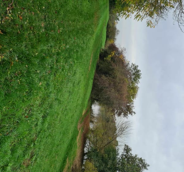 Promenade VTT en Bresse le long de la Saône - Châtenoy-en-Bresse - 1