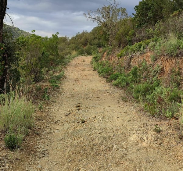 Autour de Roquebrune-sur-Argens - Roquebrune-sur-Argens - 1